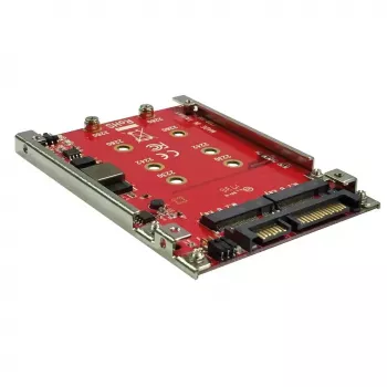Scheda interfaccia ROLINE 16.01.4145 interna SATA M.2