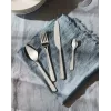 Set posate da cucina ALESSI BG02S24 — set coltello e forchetta da tavola, acciaio inox