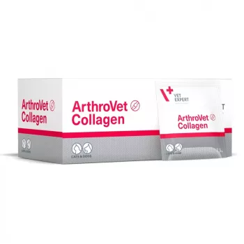 VETEXPERT ArthroVet Collagen - integratore alimentare per cani e gatti - 60 bustine