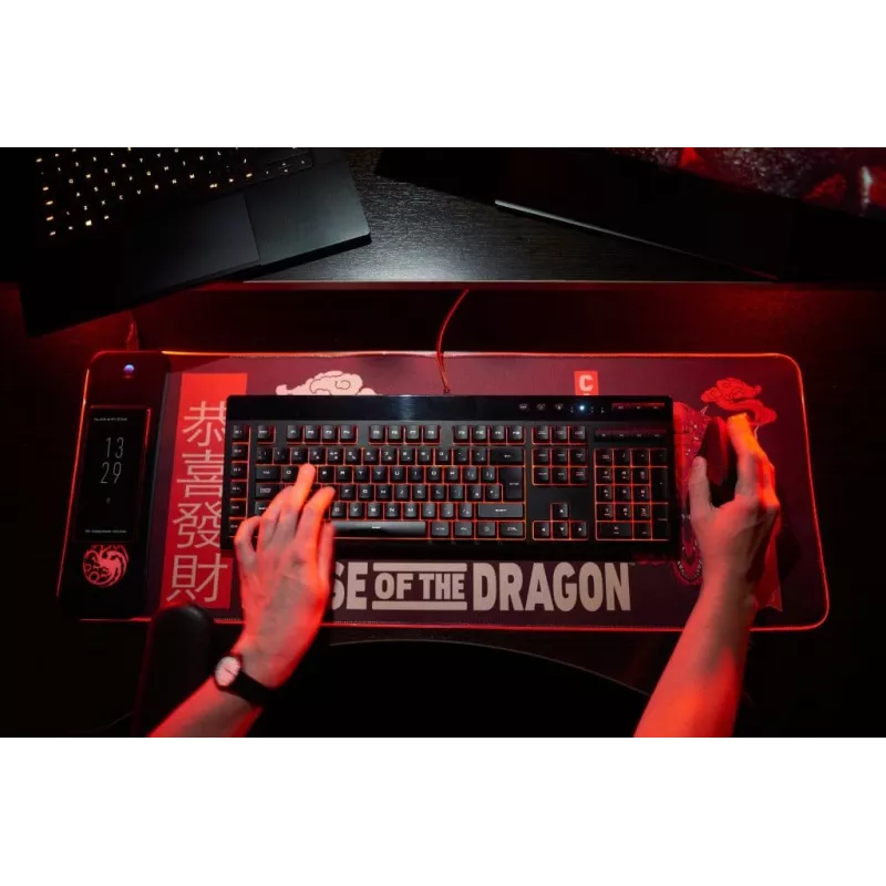 Numskull tappetino per mouse House of the Dragon + ricarica wireless 30x80cm