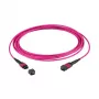 Cavo patch EFB MTP(F)-MTP(F) OM4 36 fibre Tipo A LSZH heather viola 20m