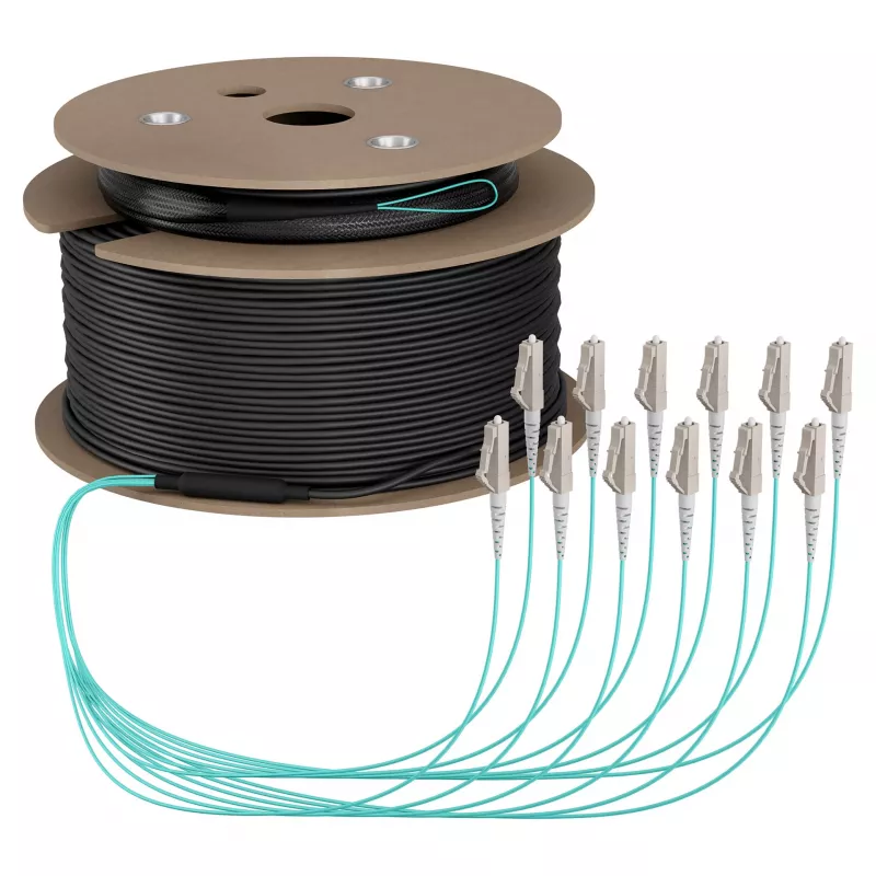 EFB Cavo trunk U-DQ(ZN)BH OM3 12G (1x12) LC-LC 200m Dca LSZH