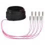 EFB Cavo trunk U-DQ(ZN)BH OM4 8G (1x8) SC-SC 40m Dca LSZH