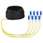 Cavo trunk EFB U-DQ(ZN)BH OS2 8E (1x8) SC-SC 20m Dca LSZH G657A1