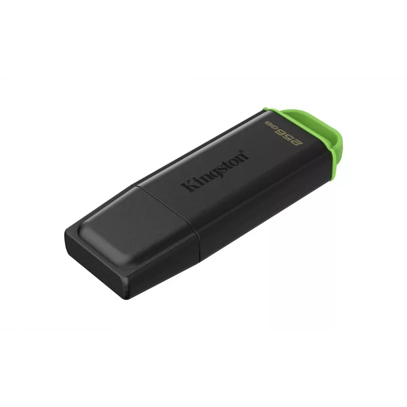 Kingston Technology DataTraveler 256GB USB 3.2 Gen 1 portatile Exodia nero/verde