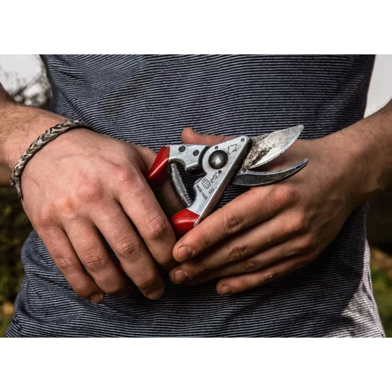 Troncarami Felco FELCO-8_FEL