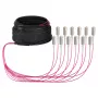 Cavo trunk EFB U-DQ(ZN)BH OM4 12G (1x12) SC-SC 10m Dca LSZH