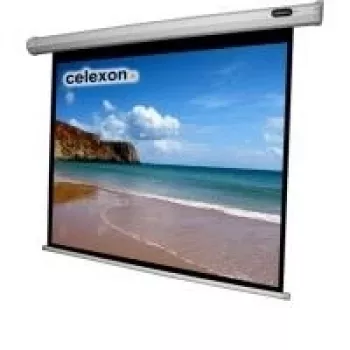 Celexon Economy schermo elettrico - schermo - montaggio a soffitto possibile, adatto per montaggio a parete - motorizzato - 250 cm (98