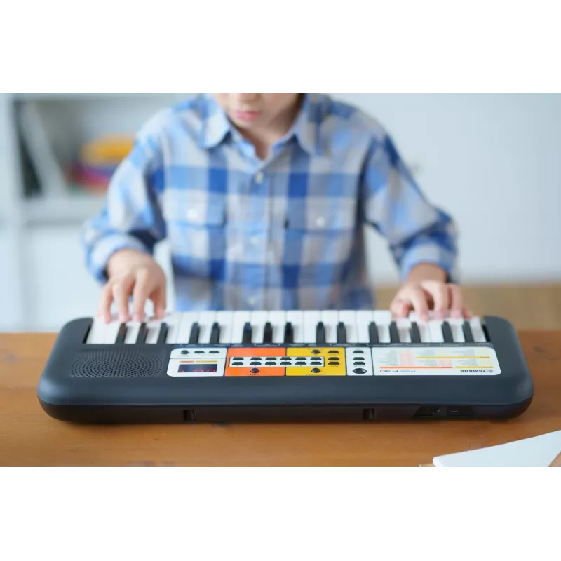 Yamaha PSS-F30 - Tastiera