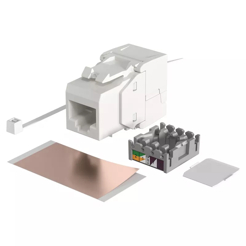 Modulo di ingresso RJ-45 modulare EFB Elektronik ECOLAN E-20080, bianco