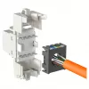 Modulo di ingresso RJ-45 modulare EFB Elektronik ECOLAN E-20080, bianco