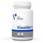 VetExpert ViewVet 45 capsule.