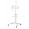 Supporto TV a pavimento 37-70/WEISS TVS-70T-02-W Gembird