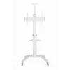 Supporto TV a pavimento 37-70/WEISS TVS-70T-02-W Gembird