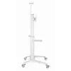 Supporto TV a pavimento 37-70/WEISS TVS-70T-02-W Gembird