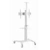 Supporto TV a pavimento 37-70/WEISS TVS-70T-02-W Gembird