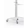 Supporto TV a pavimento 37-70/WEISS TVS-70T-02-W Gembird