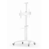 Supporto TV a pavimento 37-70/WEISS TVS-70T-02-W Gembird