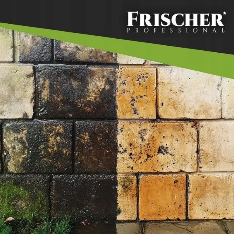 Detergente per facciate fresco 1 l
