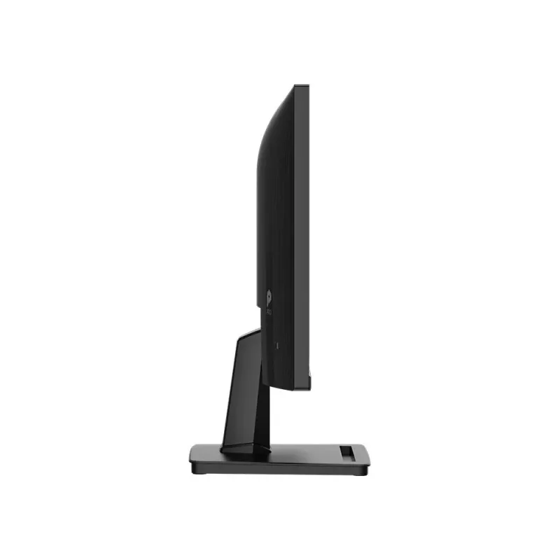 Monitor PRO MP225 E12VL 21,45 pollici / FHD / FLAT / 120Hz / nero