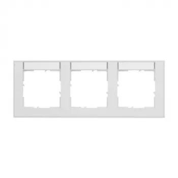 Legrand 765893 placca di copertura/copriinterruttore bianco