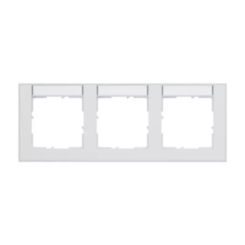 Legrand 765893 placca di copertura/copriinterruttore bianco