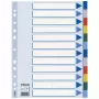 Esselte Divisori indice con taglio vuoto, polipropilene (PP), A4, multicolore, 225 mm