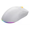 HATOR Quasar 3 Wireless mouse gaming ambidestro RF Wireless + Bluetooth + USB Type-A ottico 12000 DPI