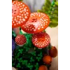 LEGO Botanicals 11505 Funghi del bosco (806 pezzi)