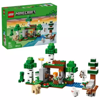 LEGO Minecraft 21593 Avventura della prima notte (301 pezzi)