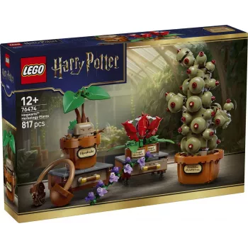 LEGO Harry Potter 76474 Piante di erbologia di Hogwarts (817 pezzi)