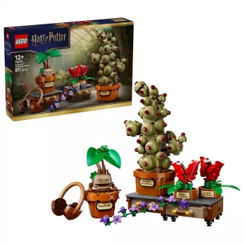LEGO Harry Potter 76474 Piante di erbologia di Hogwarts (817 pezzi)