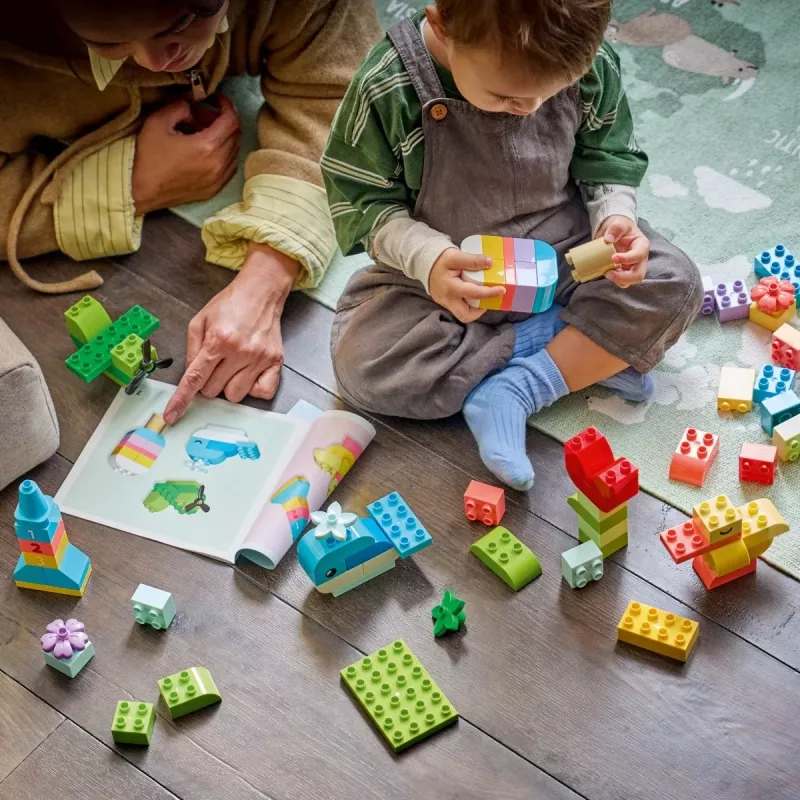 LEGO DUPLO 10479 Box creativo colorato (80 pezzi)