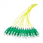 EFB Elektronik Fibre Pigtail SC-APC8° 9/125µm OS2 giallo, 2m