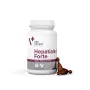 VetExpert Hepatiale Forte Small Breed & Cats 40 capsule