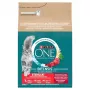 Purina ONE crocchette per gatti con manzo e grano 2,8 kg