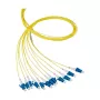 EFB Elektronik pigtail in fibra LC-APC 8° 9/125 OS2 single-mode giallo 2 m