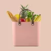 Rotho Multibag Albula Style 25L scatola contenitore, Meadow Rose