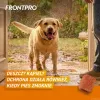 FRONTPRO compresse antipulci e zecche per cani (25-50 kg) - 3 compresse masticabili da 136 mg Afoxolaner