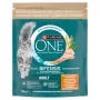Purina One Mini Active cibo per cani pollo e riso 750g