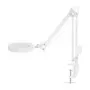 NEDIS MAGLE2WT Lente d'ingrandimento da tavolo con luce LED, ingrandimento 2x/4x, bianco