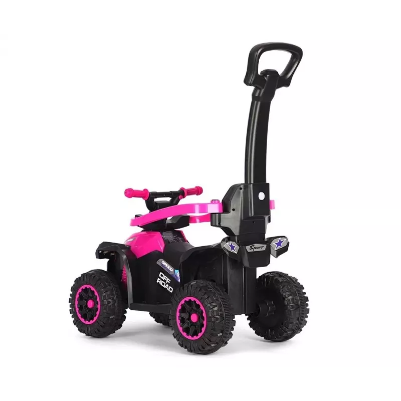 MILLY MALLY Bicicletta per bambini con asta di spinta Wild Pink 12 pollici