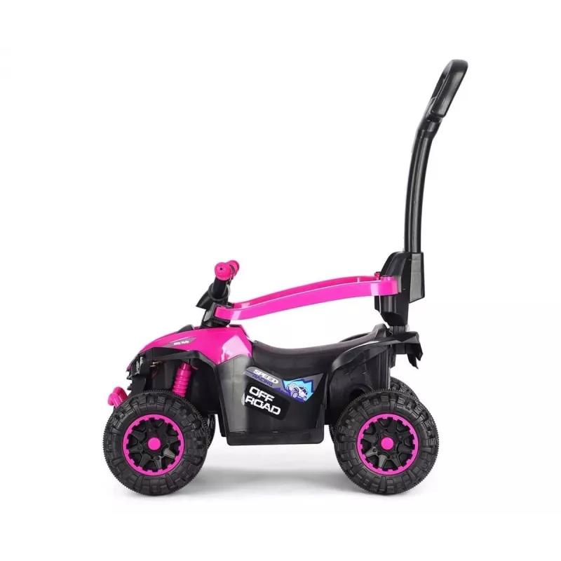 MILLY MALLY Bicicletta per bambini con asta di spinta Wild Pink 12 pollici