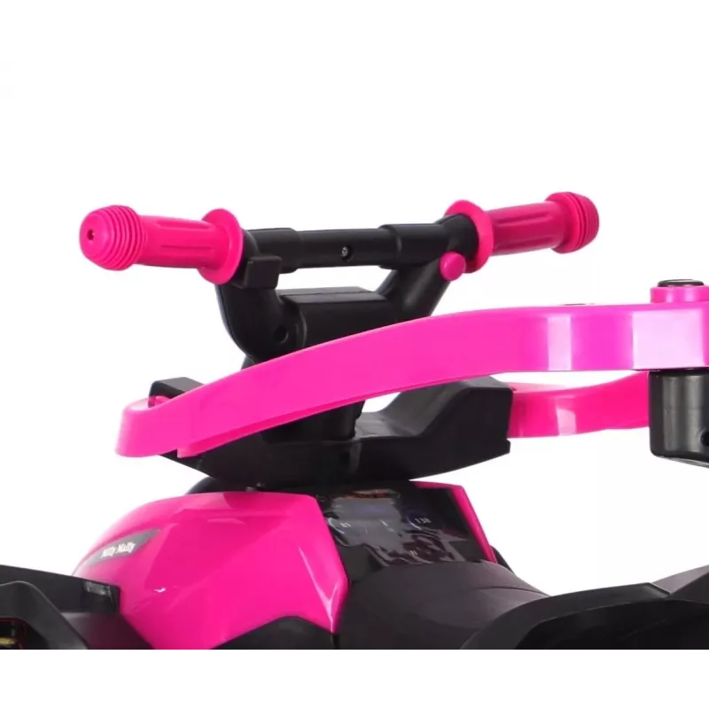 MILLY MALLY Bicicletta per bambini con asta di spinta Wild Pink 12 pollici
