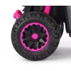 MILLY MALLY Bicicletta per bambini con asta di spinta Wild Pink 12 pollici
