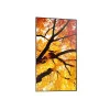 Sharp MultiSync M652 display professionale 65