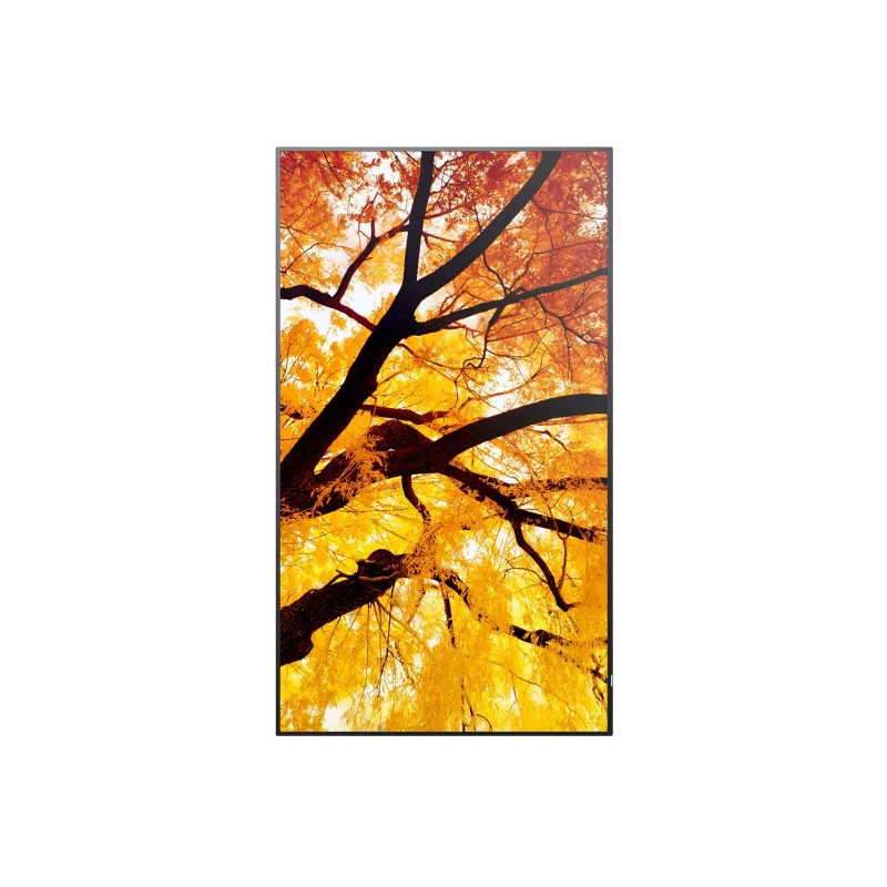 Sharp MultiSync M652 display professionale 65