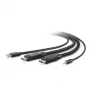 Belkin Secure KVM cavo combo - cavo tastiera/video/mouse/audio - conforme TAA - USB, mini jack, DisplayPort (connettore maschio) - 3 m
