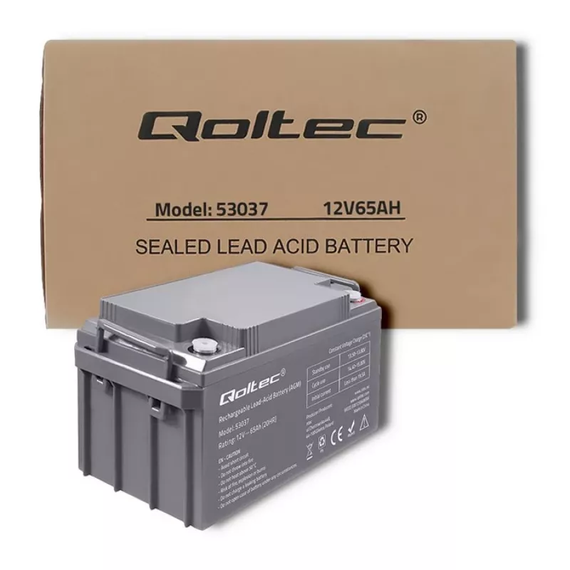 Qoltec 53037 Batteria AGM 12V 65Ah max 780A