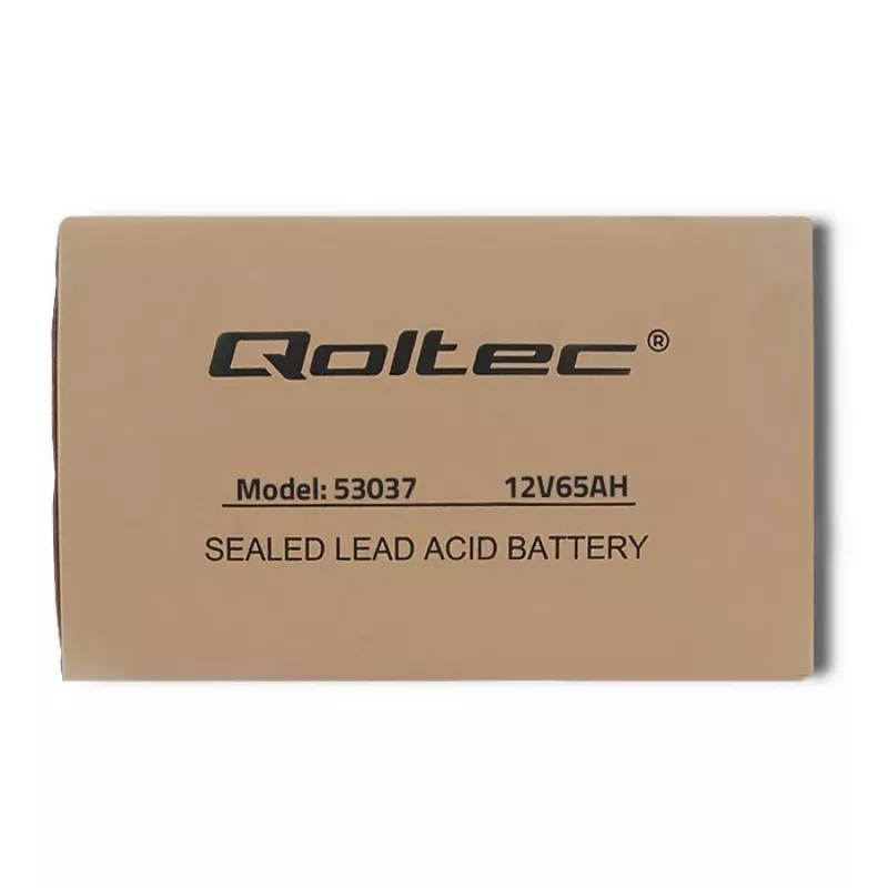 Qoltec 53037 Batteria AGM 12V 65Ah max 780A